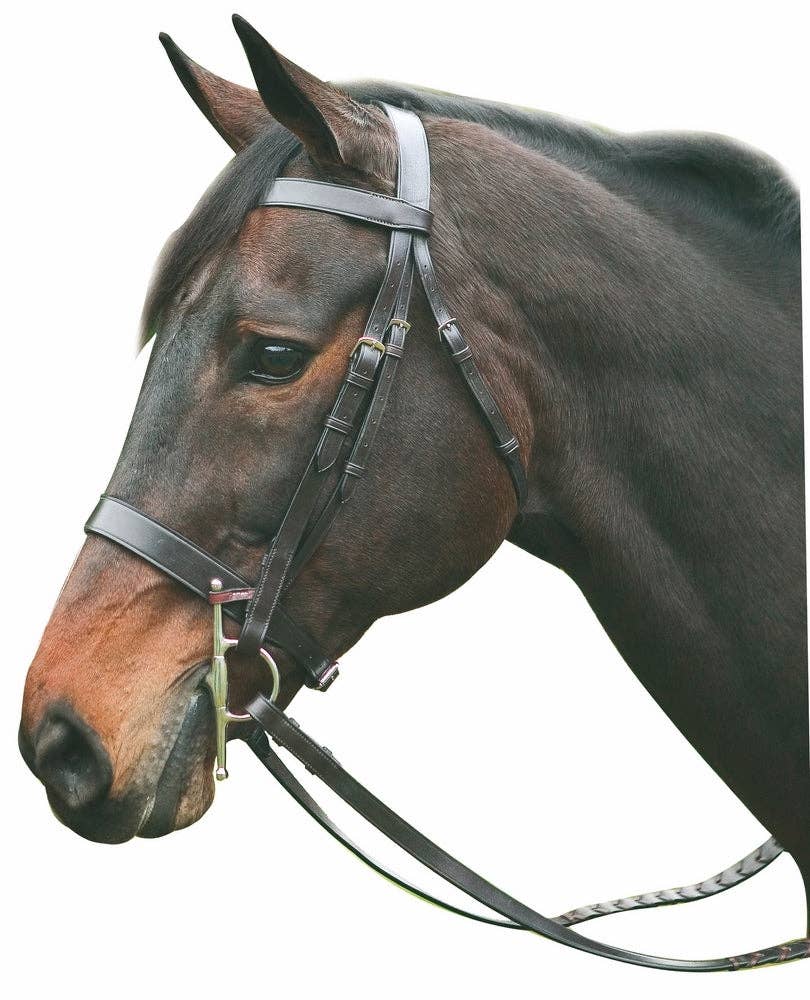 Henri de Rivel Pro Hunt Bridle