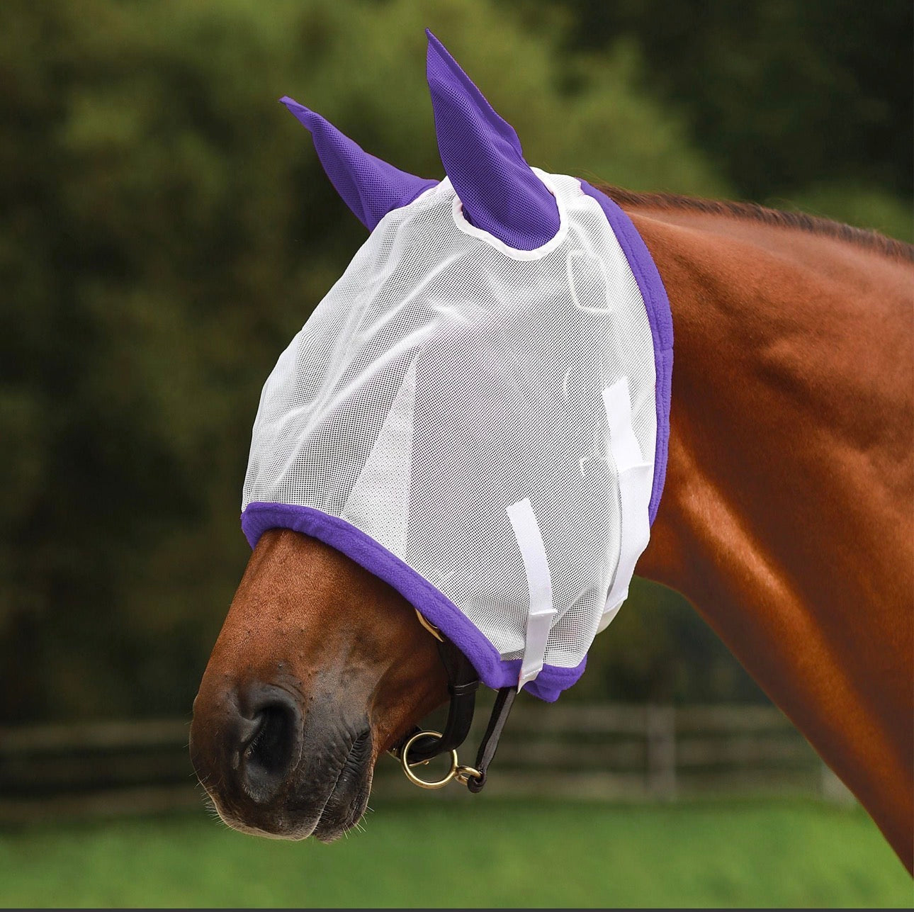 Schneider Dura-Mesh Fly Mask with Ears
