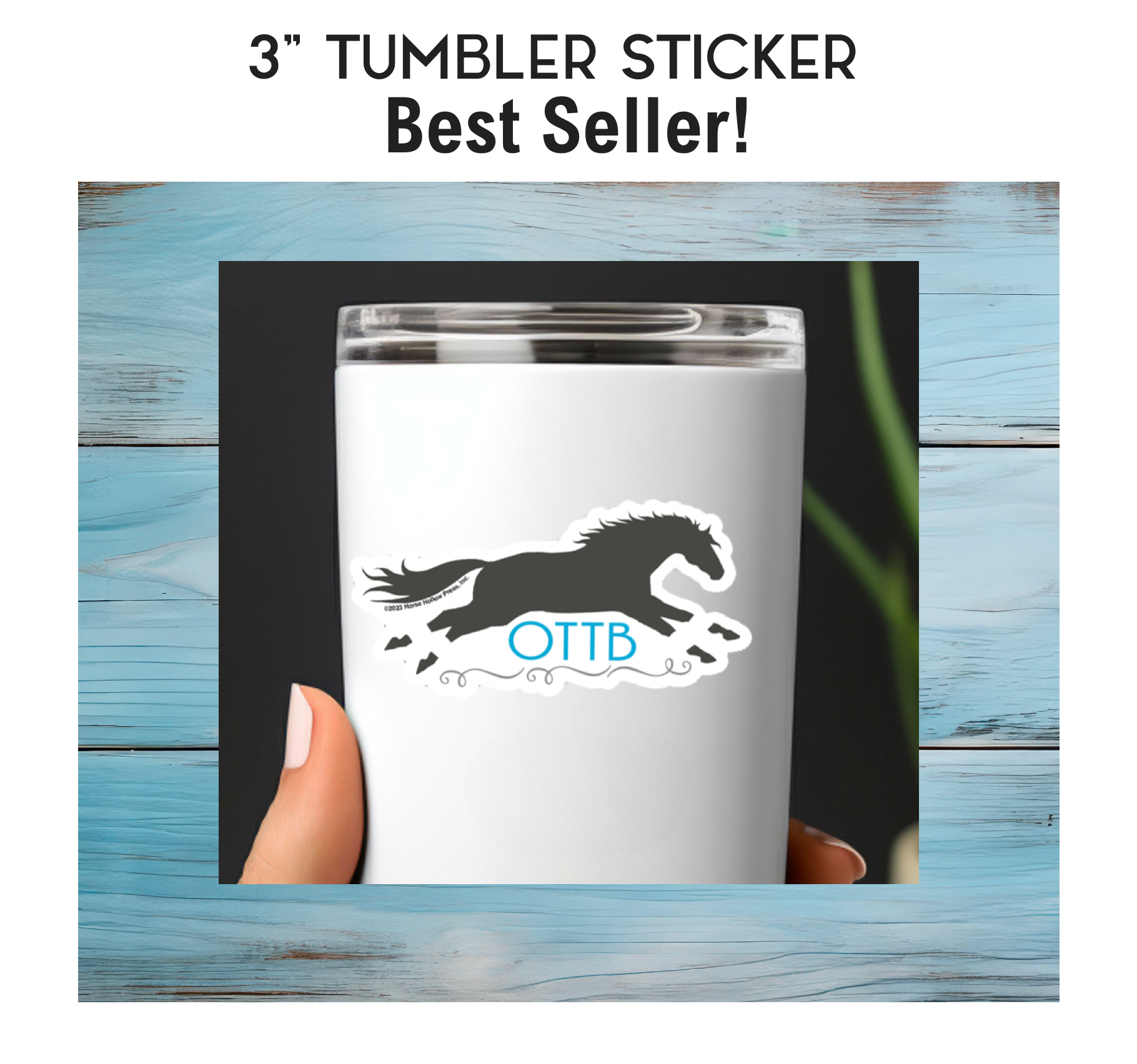 Horse Sticker Waterproof 3" "OTTB"