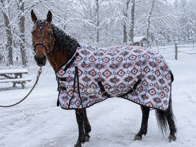 PLR  Winter Blanket