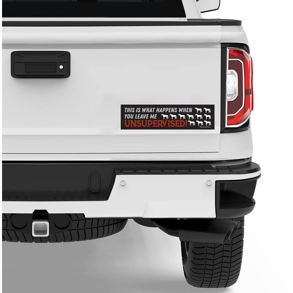 Horse Bumper Sticker "Leave Me Unsupervised..."