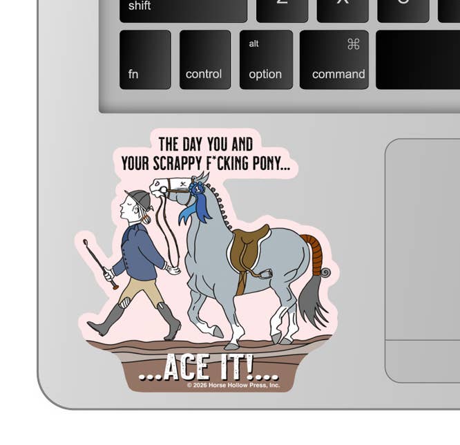 Horse Sticker Waterproof 3" "Scrappy Pony"
