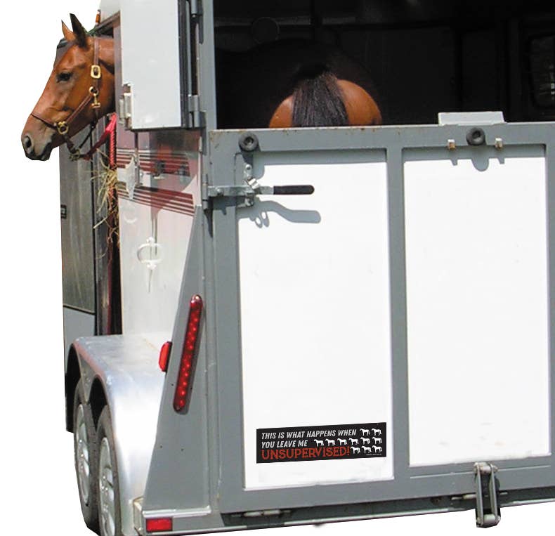 Horse Bumper Sticker "Leave Me Unsupervised..."