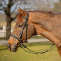 Equinavia Saga Bitless Bridle