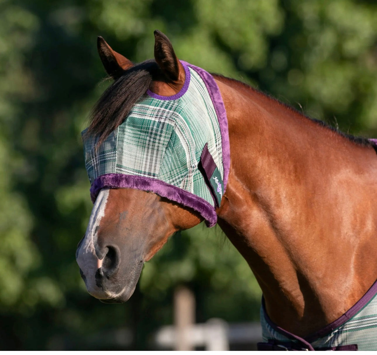 Fly Mask with Fleece Trim & 73% UV Protection