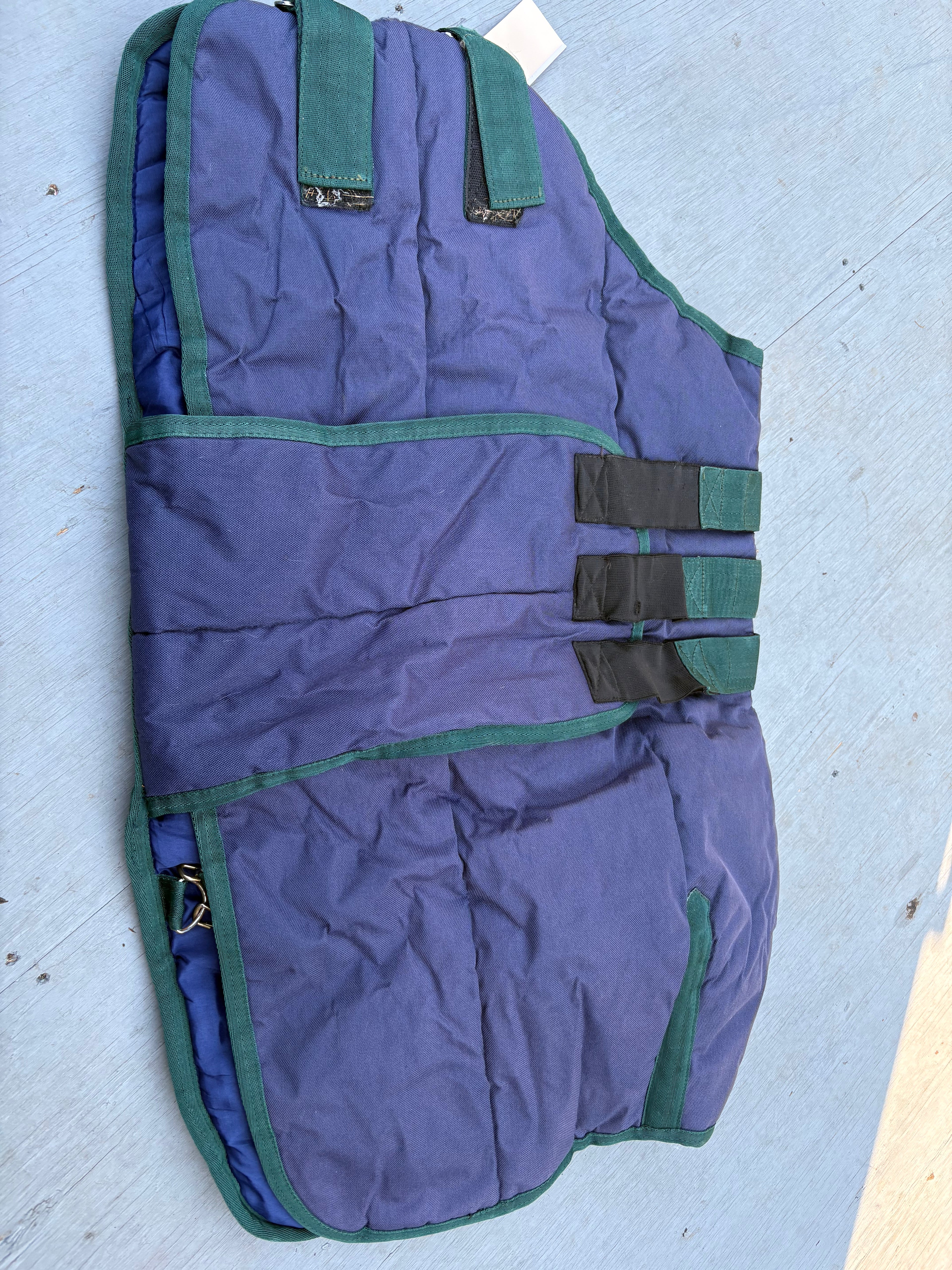 Medium Weight Foal Blanket