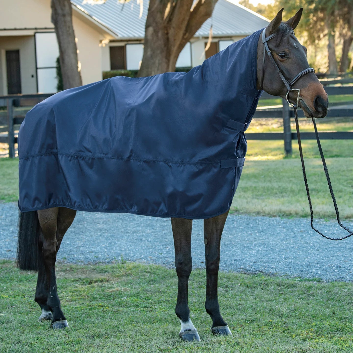 Dover Saddlery Medium Rain Sheet