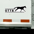 SOLD-Dapplebay Bumper Sticker in OTTB - 9" x 3"