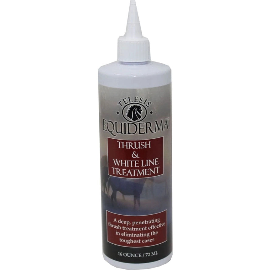 Equiderma Thrush and Whiteline Treatment 16