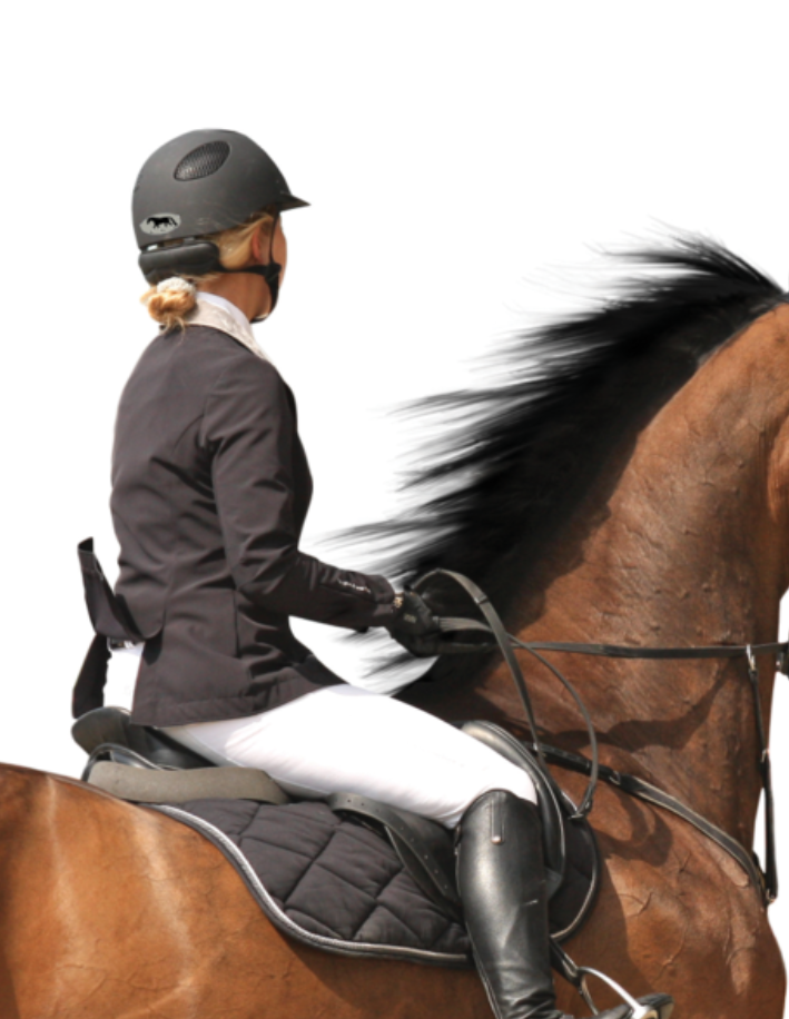 Horse Laptop, Cell Phone & Helmet Sticker "Grand Prix Jump"