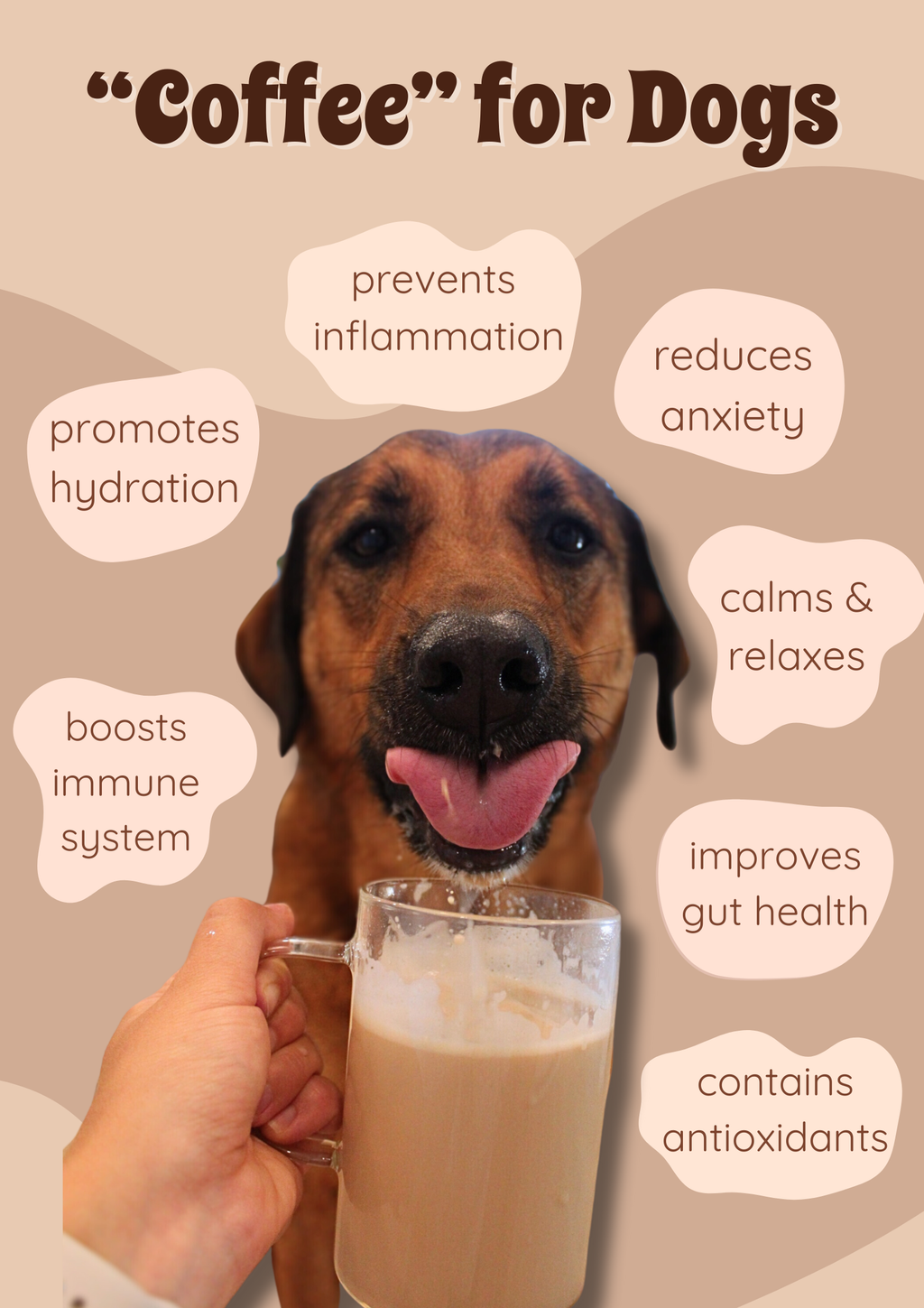 Caramel Latte Instant Dog Coffee