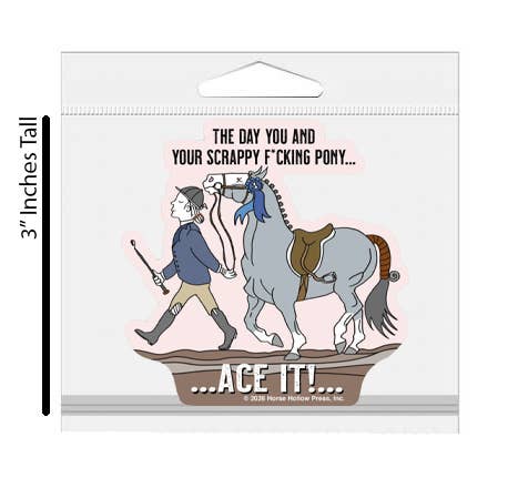Horse Sticker Waterproof 3" "Scrappy Pony"