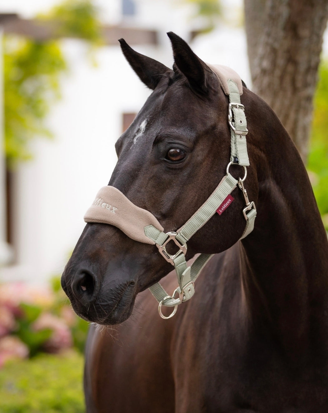 LeMieux Vogue Horse Halter & Leadrope