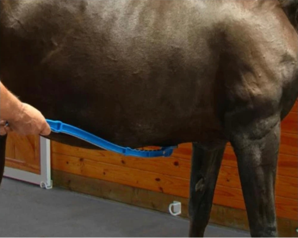 Scratch Me Silly Belly Scratcher