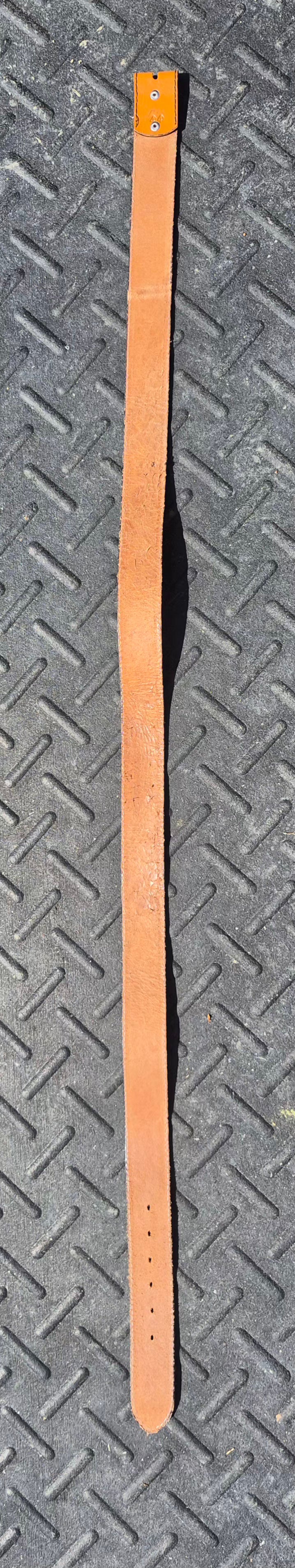 Ariat Brown Tooled Logo Belt