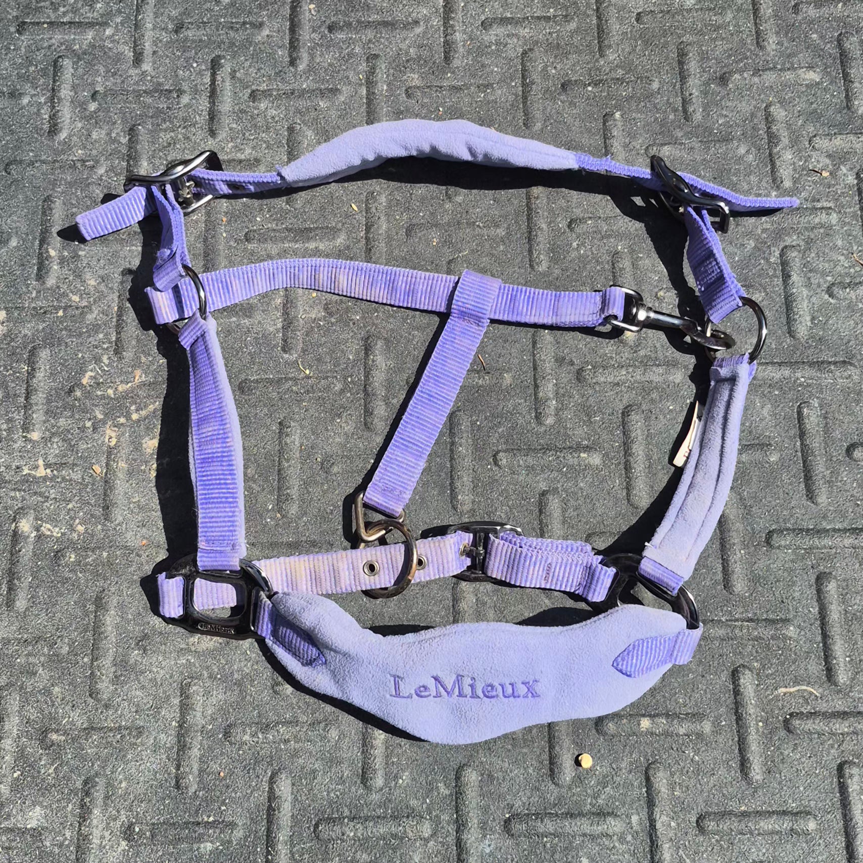 Lemieux Vogue Halter