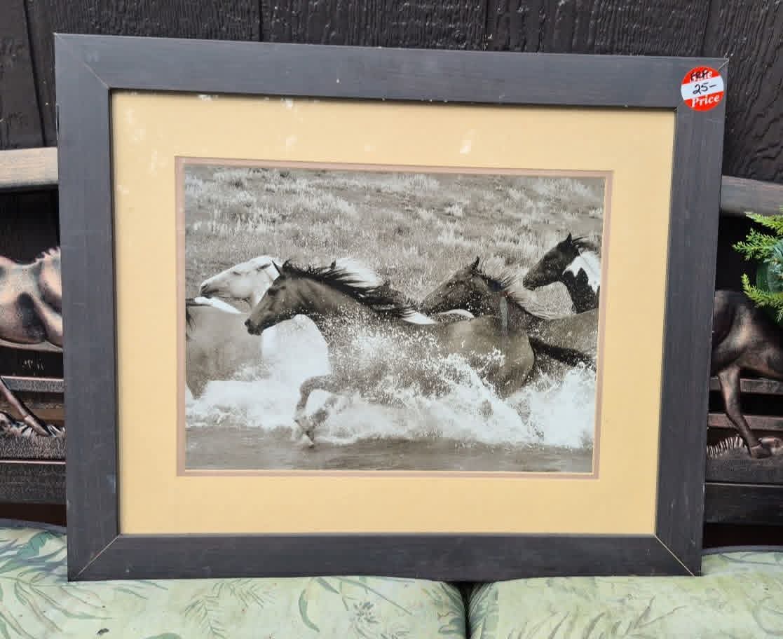 Framed Picture