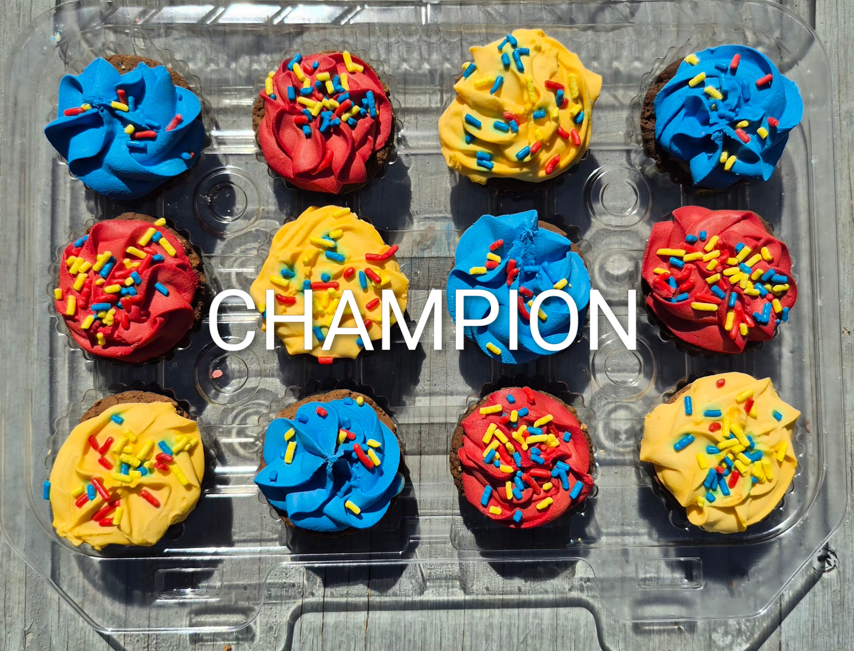 Pony Cupcakes Gourmet Horse Treats