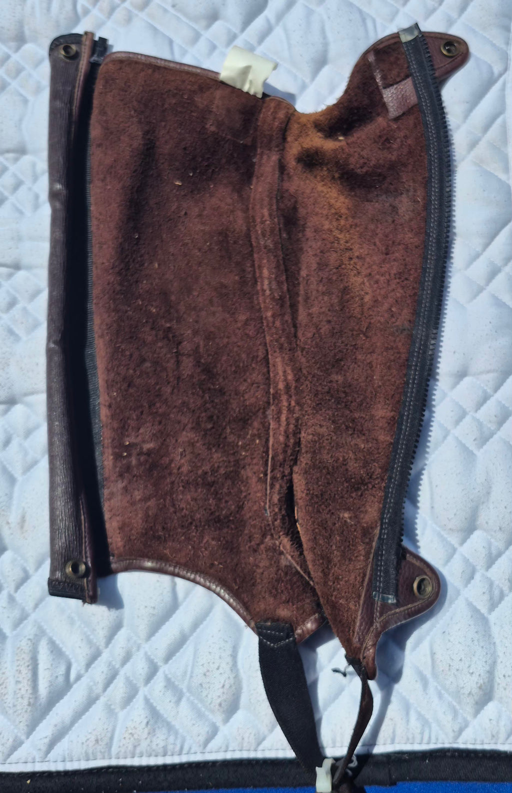 Ovation Precision Fit Half Chaps (Used)
