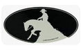 Horse Funny Laptop, Cell Phone & Helmet Sticker "Reiner"