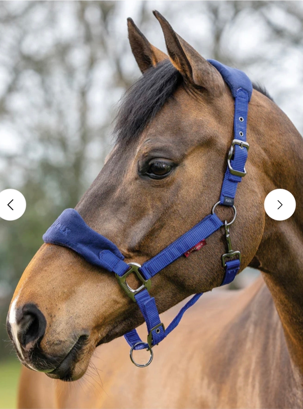 LeMieux Vogue Horse Halter & Leadrope