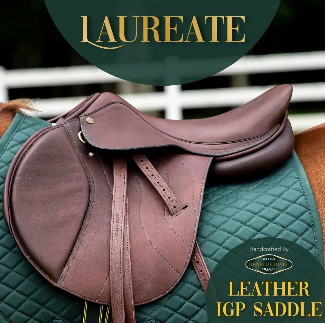 Henri De Rivel Laureate IGP Saddle