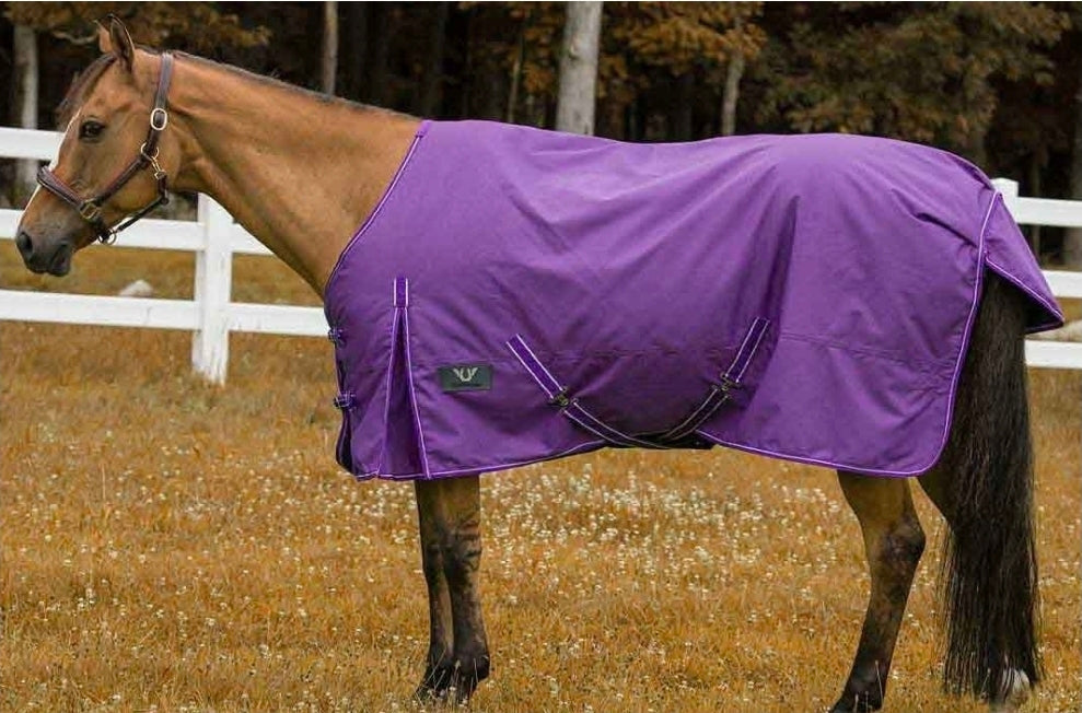 TuffRider 1200D Comfy Winter Medium Weight Turnout Blanket 200g (Purple)