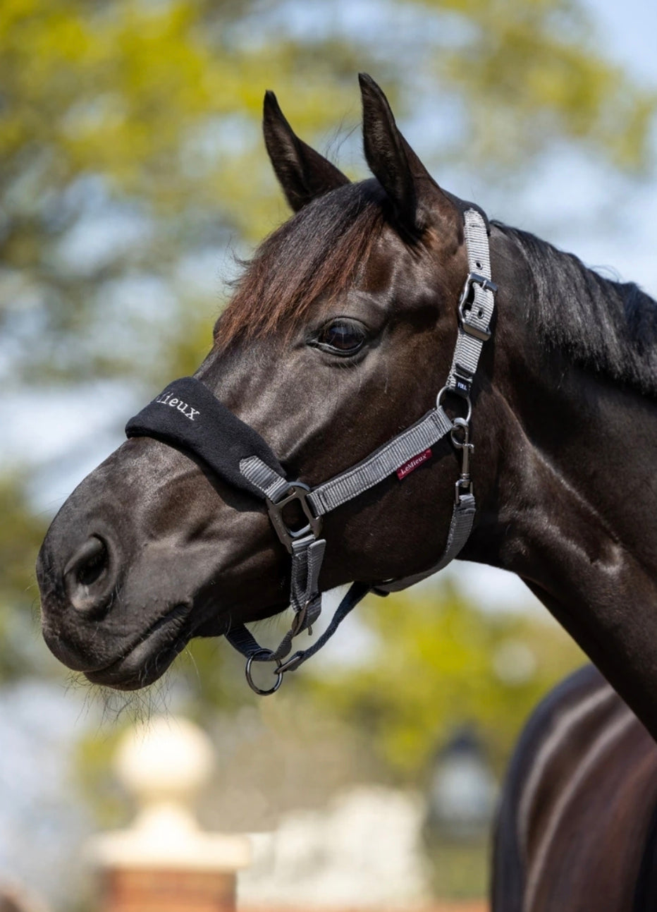 LeMieux Vogue Halter