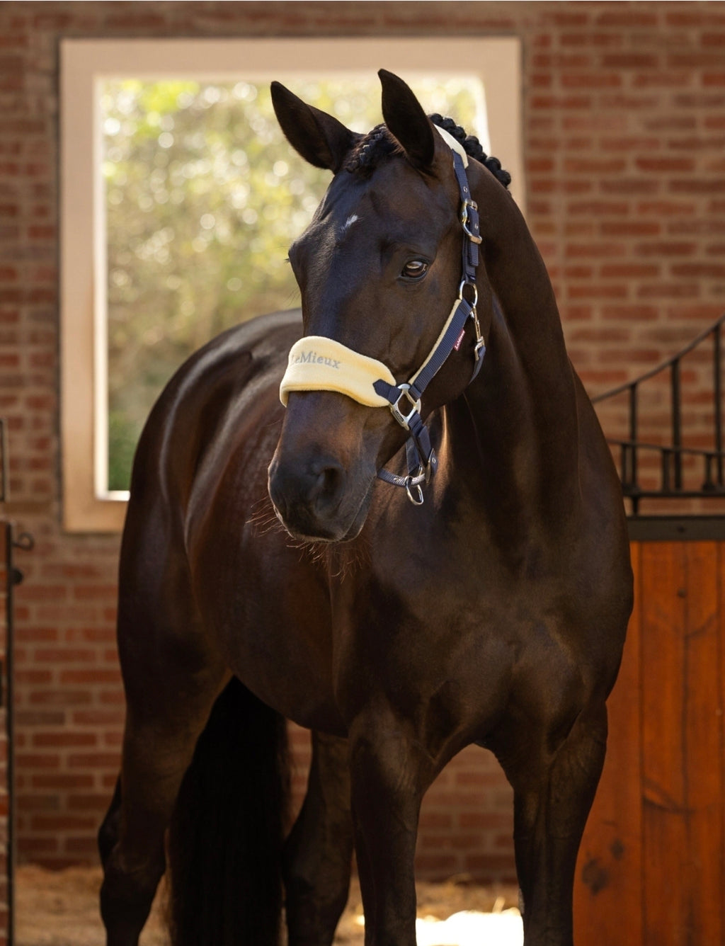 LeMieux Vogue Horse Halter & Leadrope