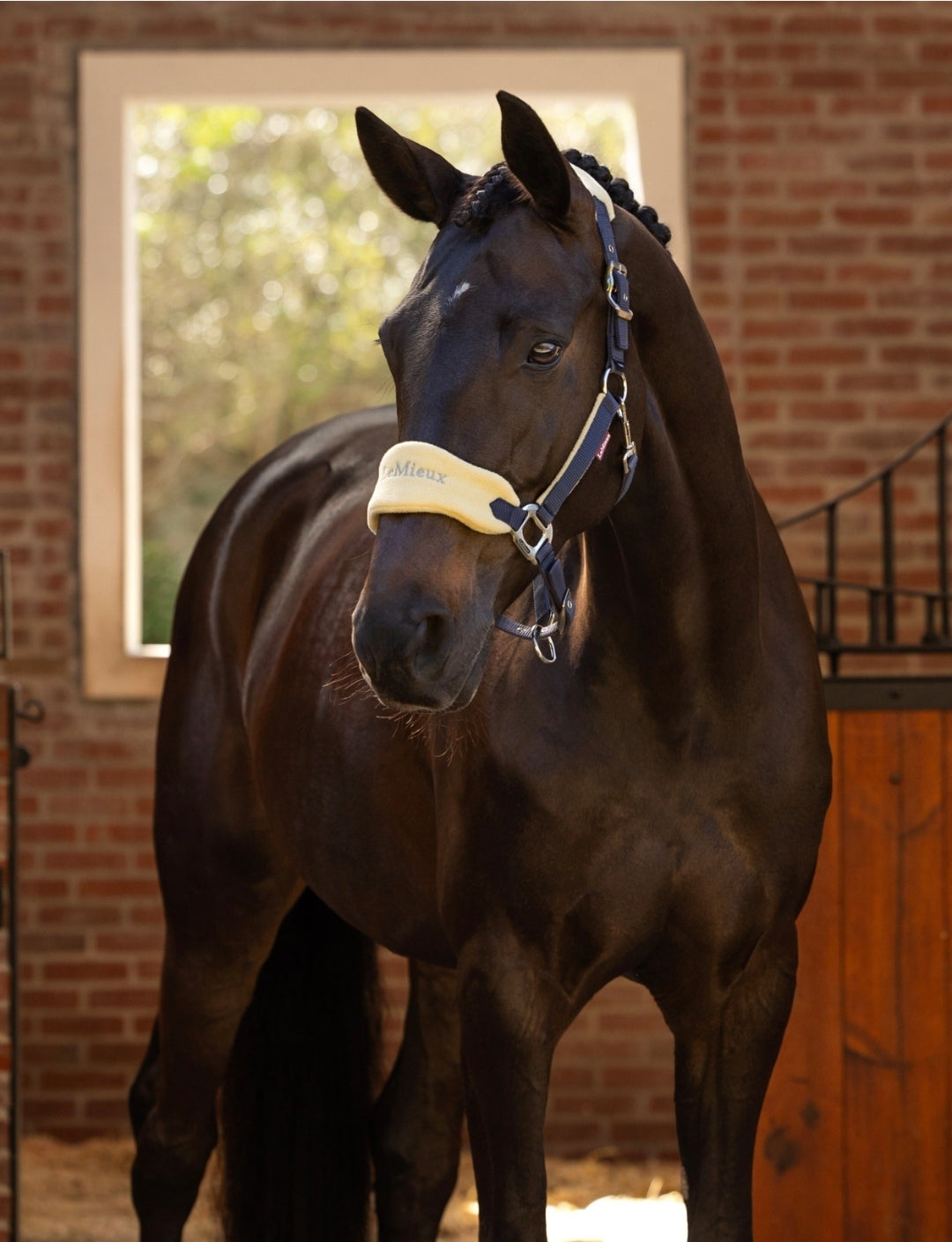 LeMieux Vogue Horse Halter & Leadrope