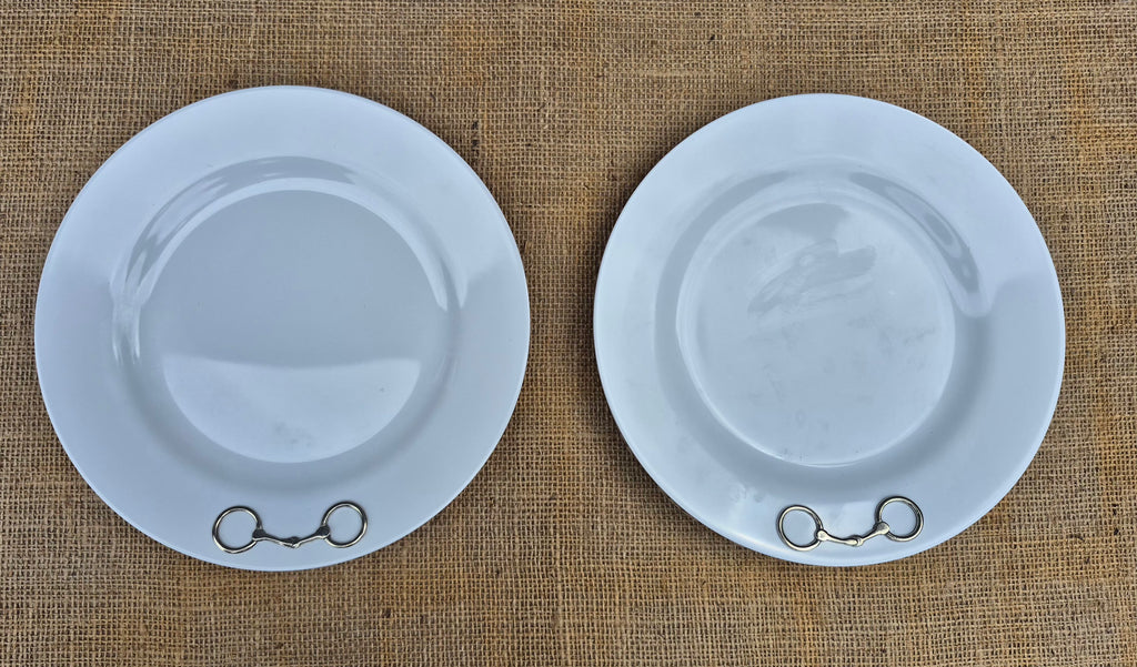 Bit Melamine 10" Plates (2)