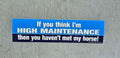 Horse Bumper Sticker "High Maintenance"