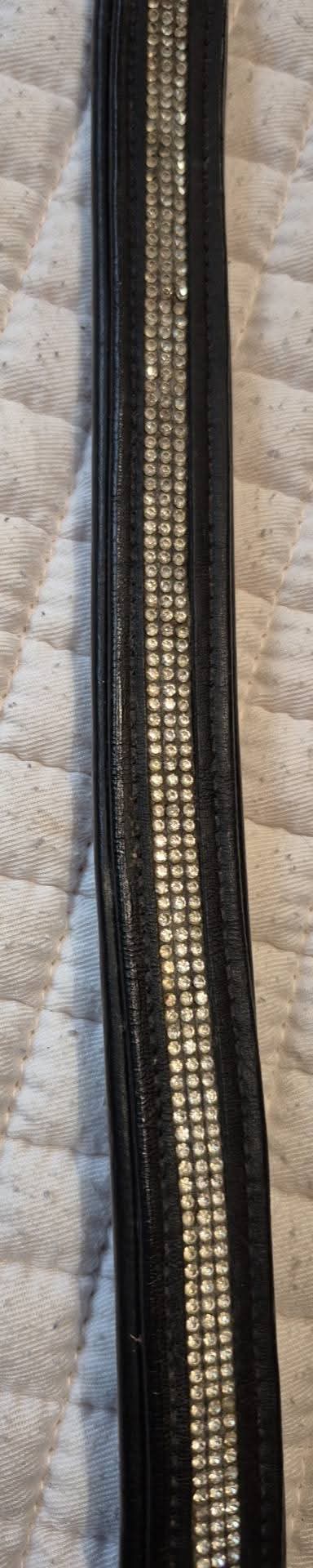 14.5" browband