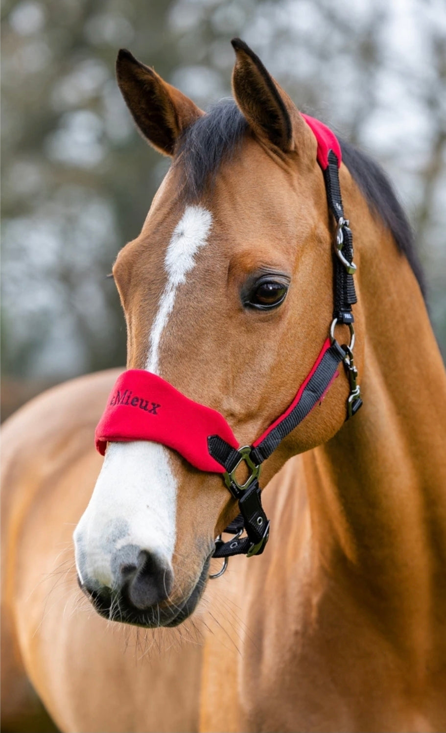 LeMieux Vogue Horse Halter