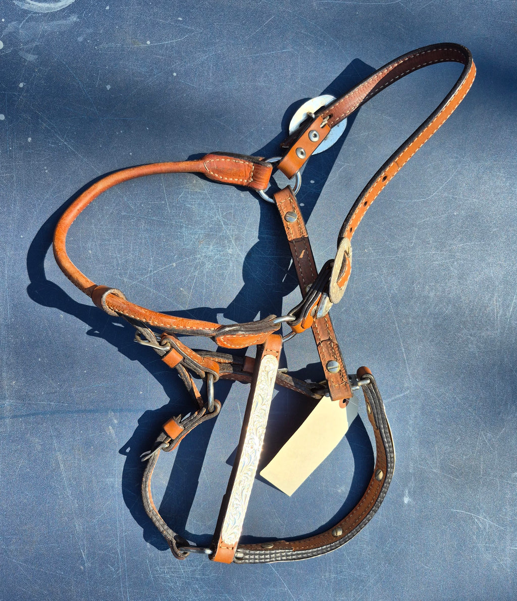 Western Show Halter (As Is)