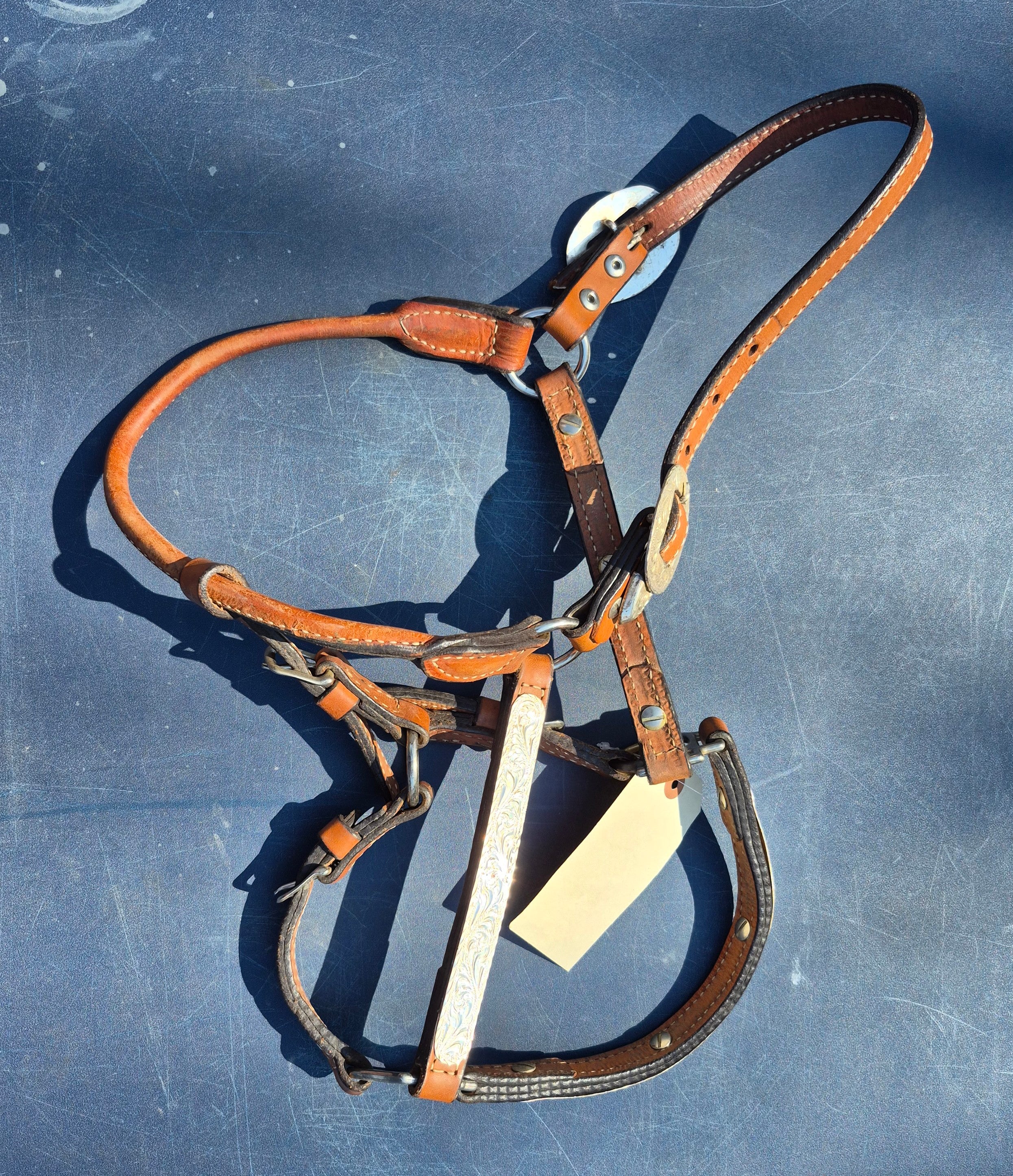 Western Show Halter (As Is)