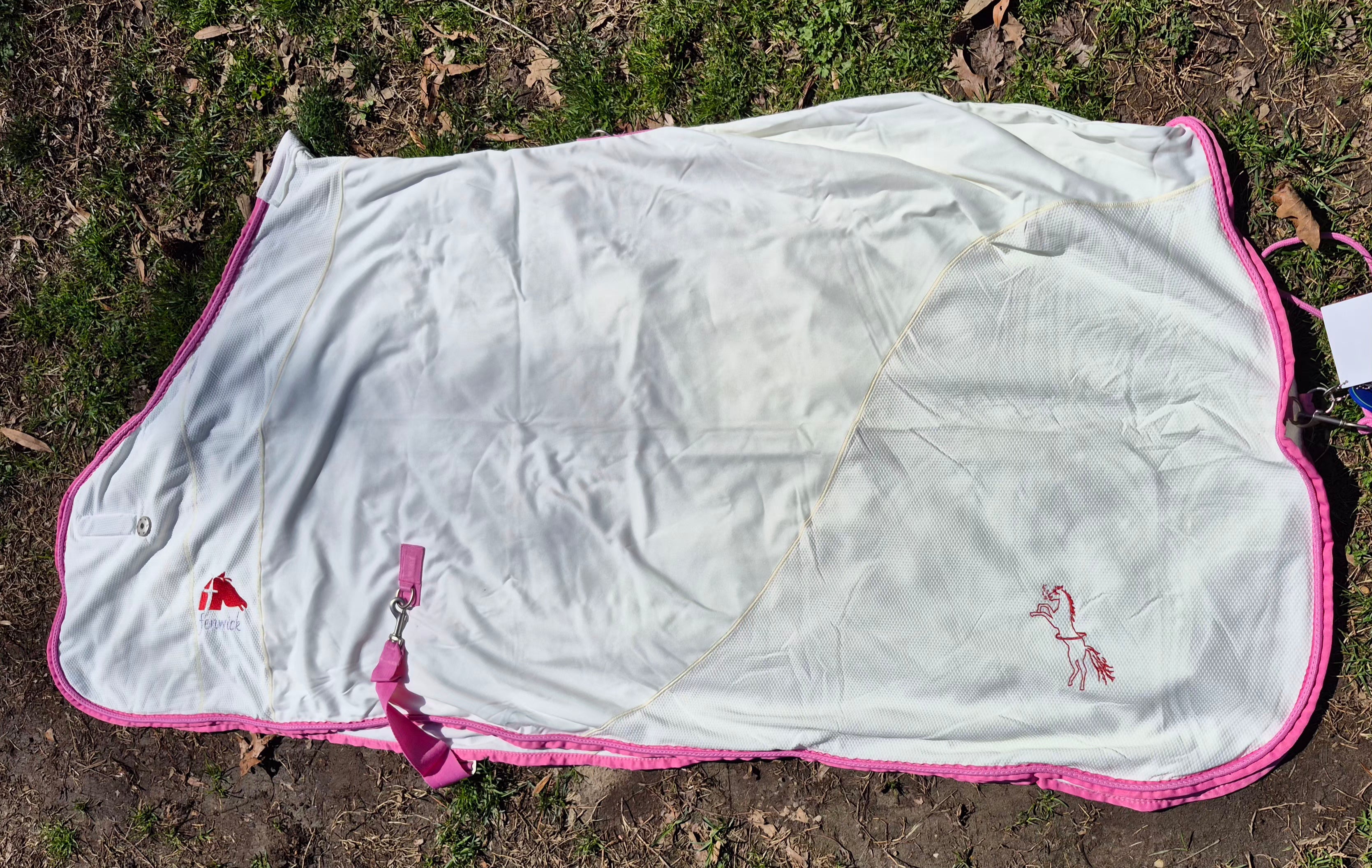 Fenwick Equestrian EquDry Pop Star Dress Sheet Sporty Cooler