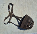 Best Friends Grazing Muzzle (Used)
