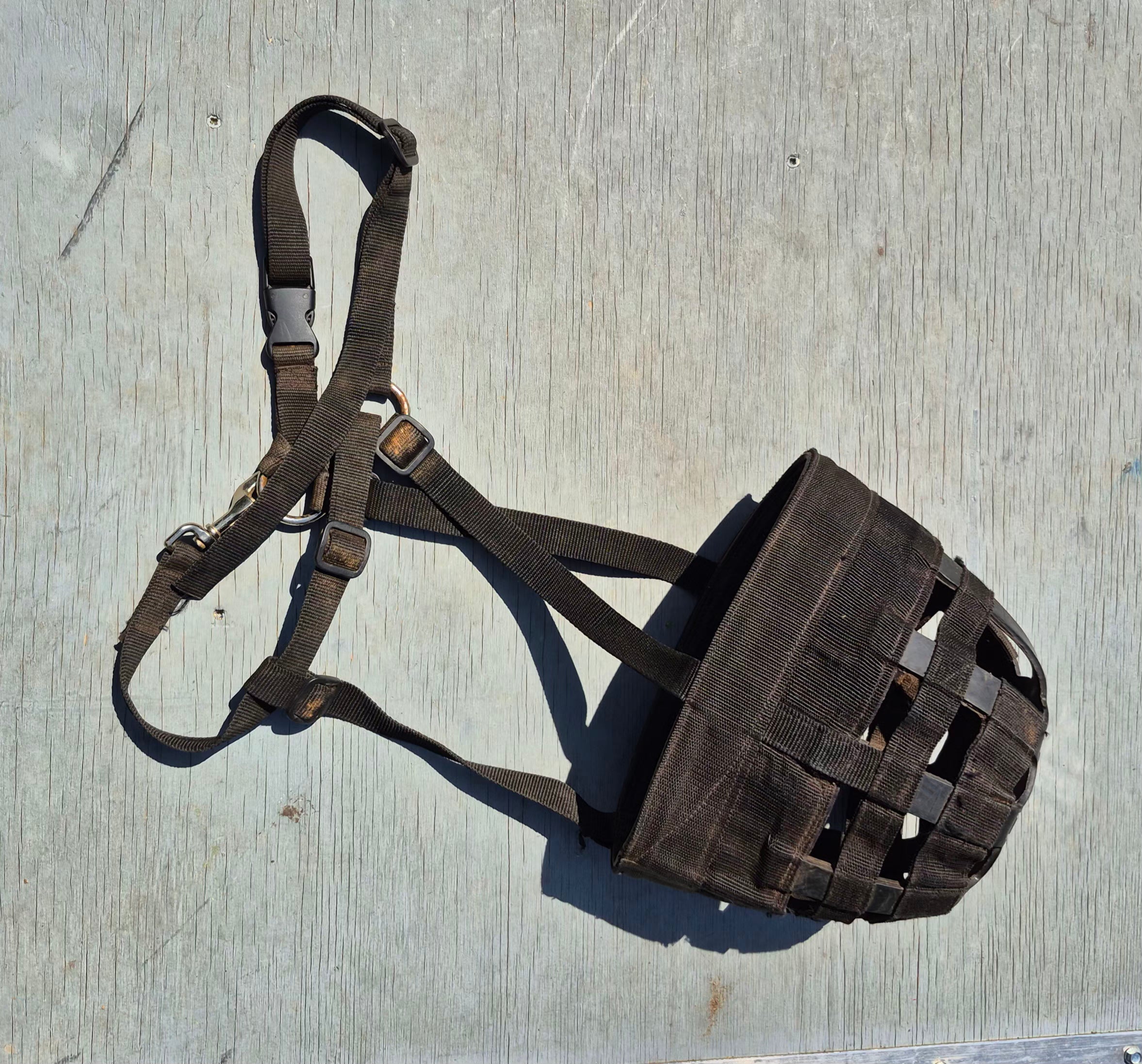 Best Friends Grazing Muzzle (Used)