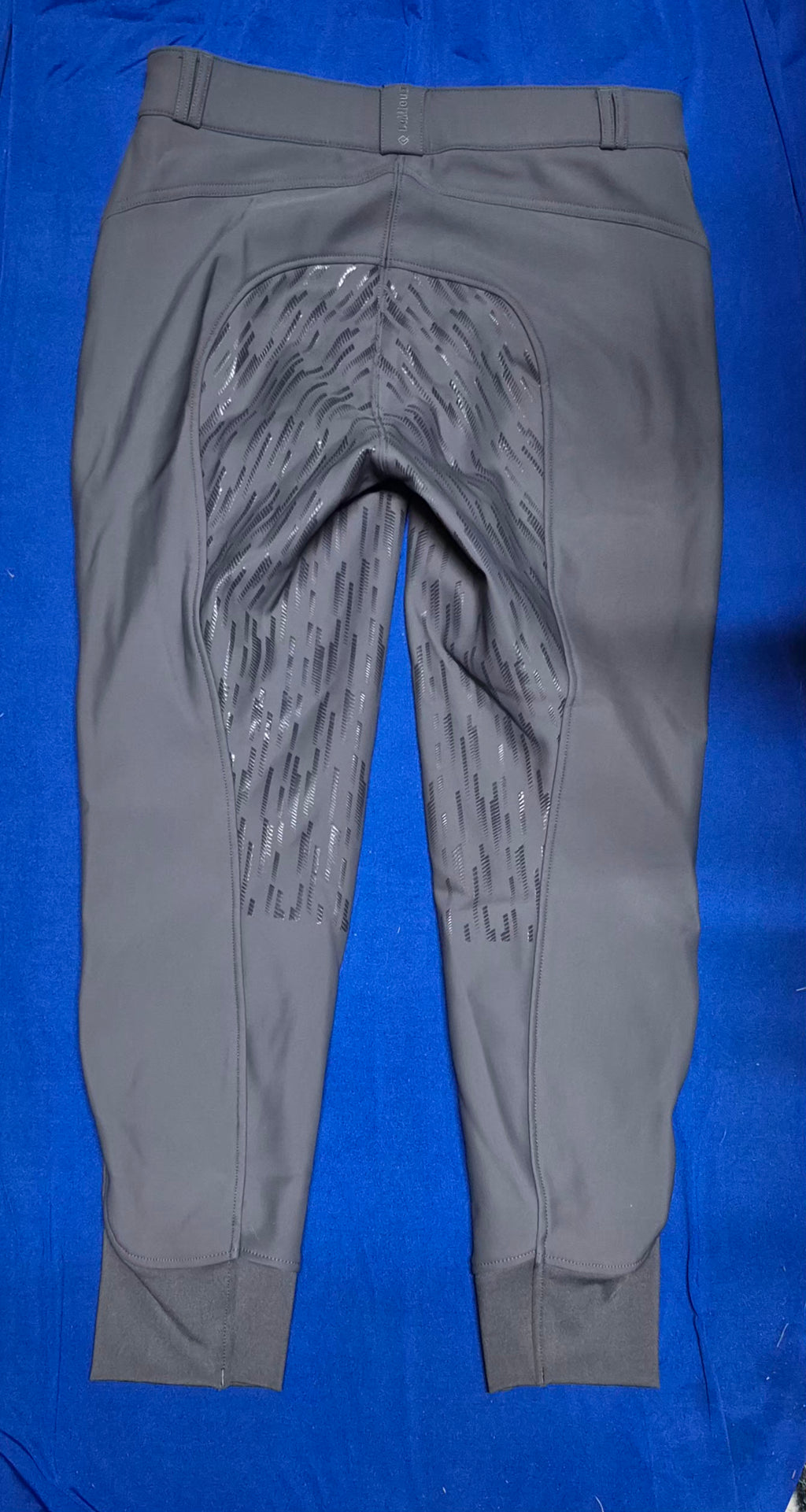 LeMieux Drytex Waterproof Breeches