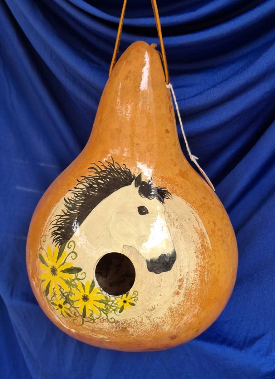 Handpainted Amish Birdhouse Gourd