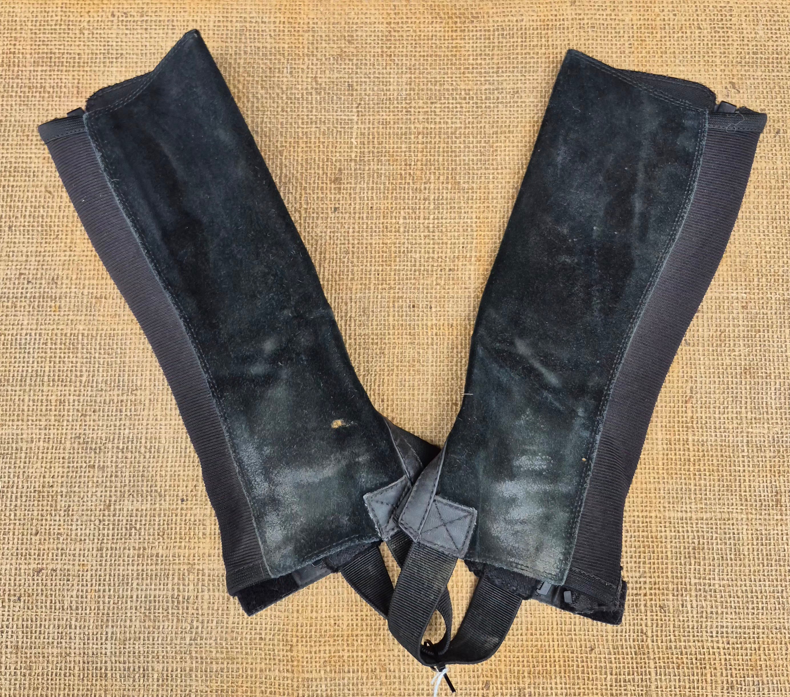 Ariat Scout Half Chaps (Children's)
