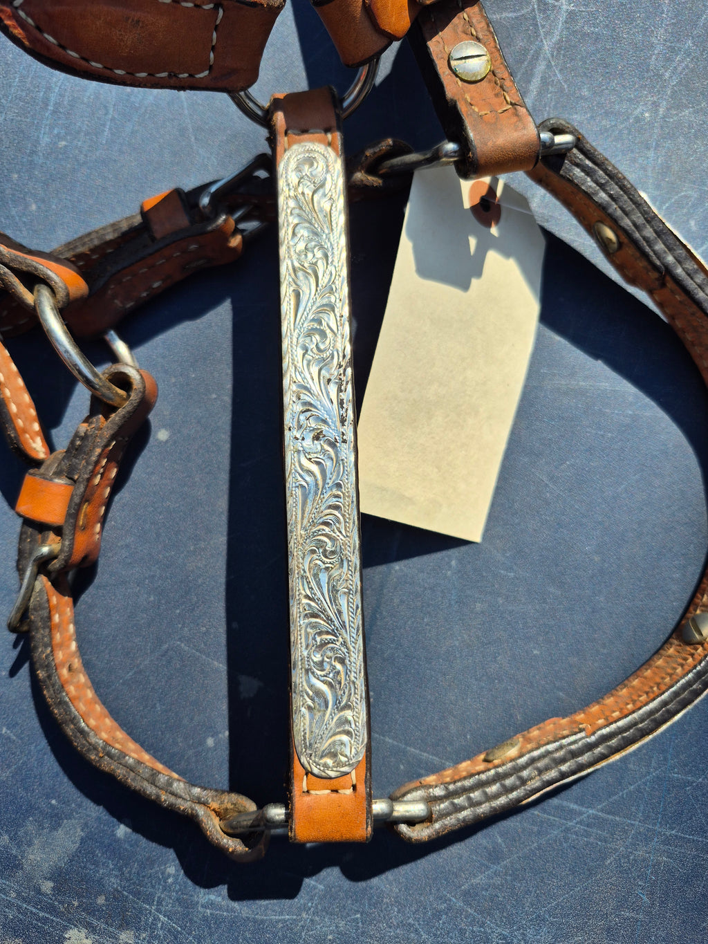 Western Show Halter (As Is)