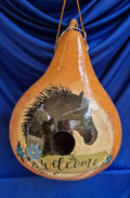Handpainted Amish Birdhouse Gourds