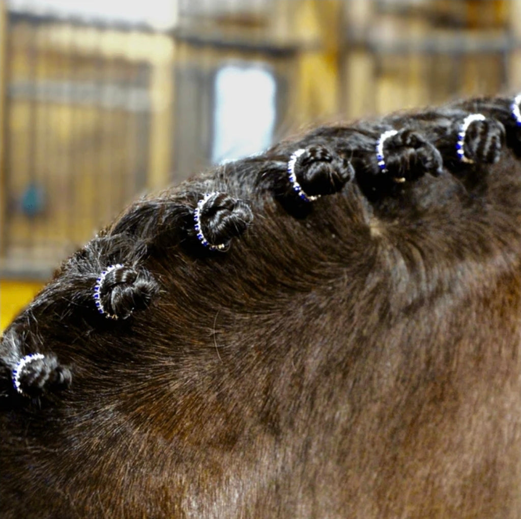 Spiced Equestrian Braid Bling