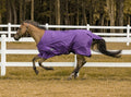 TuffRider 1200D Comfy Winter Medium Weight Turnout Blanket 200g (Purple)