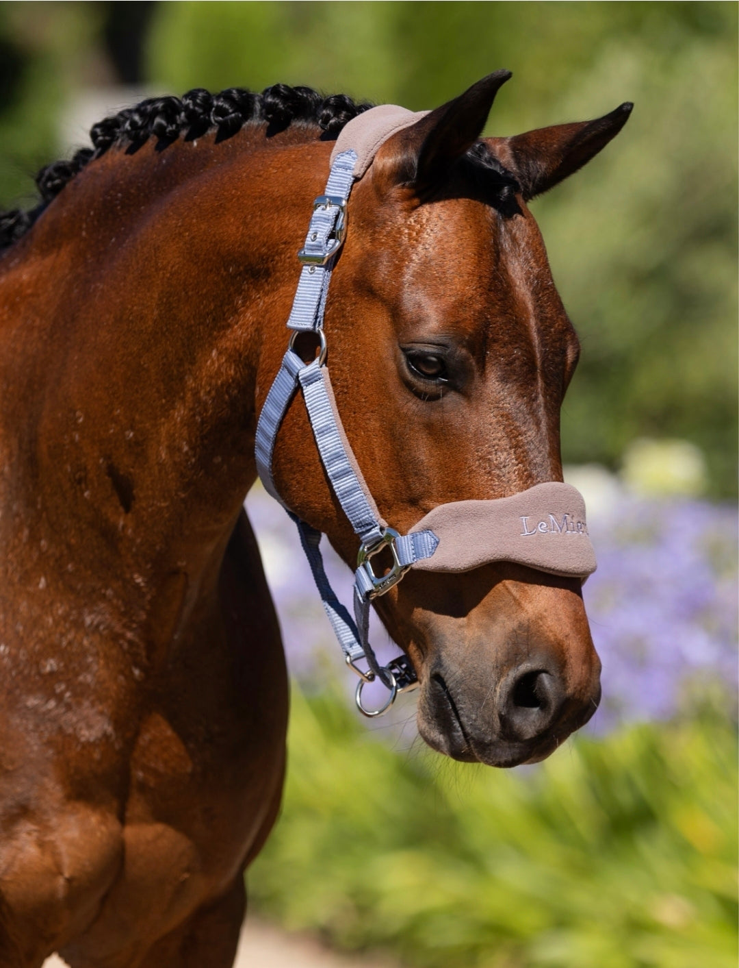 LeMieux Vogue Horse Halter & Leadrope