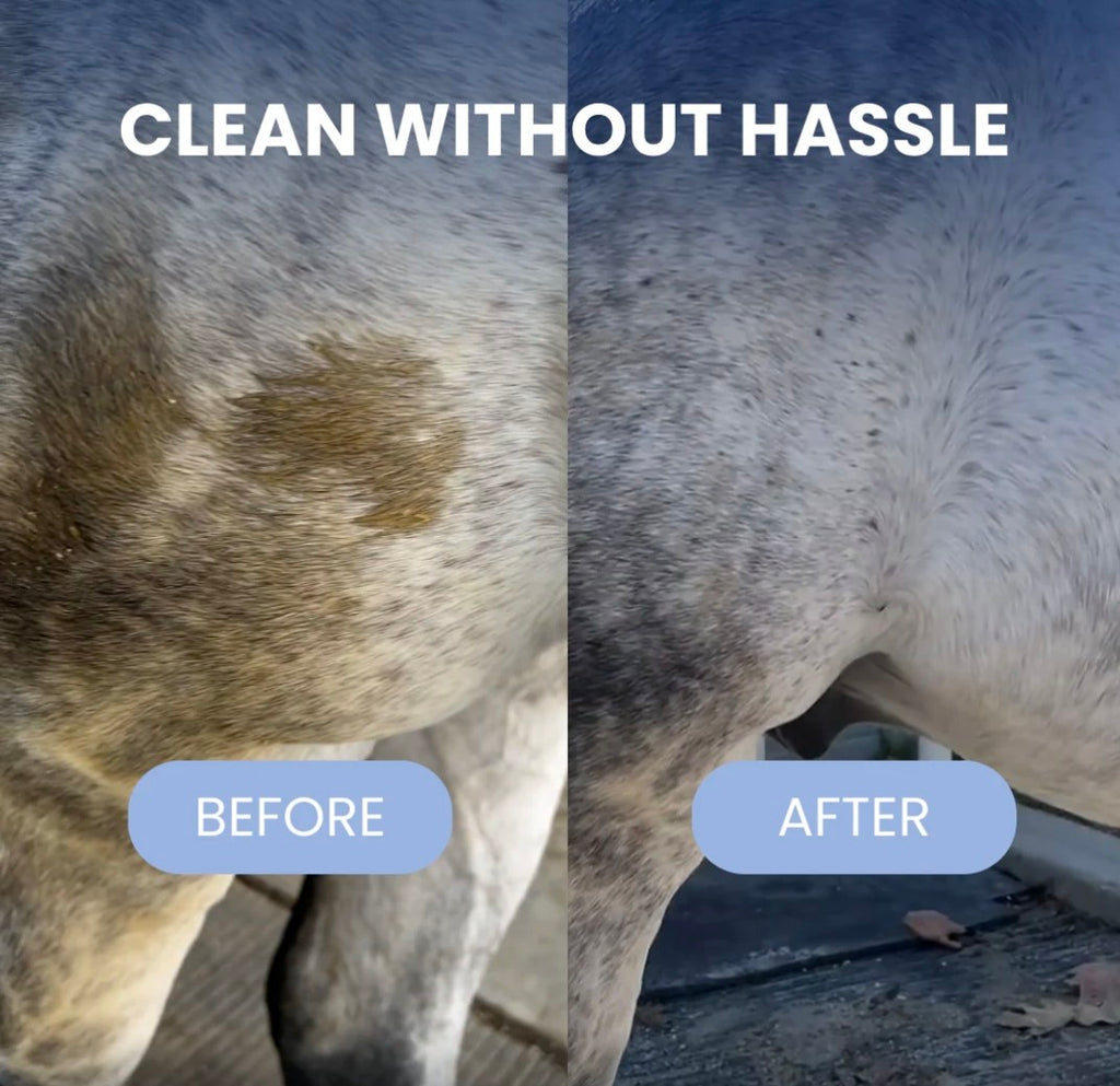 RideBand Horse Steam Brush