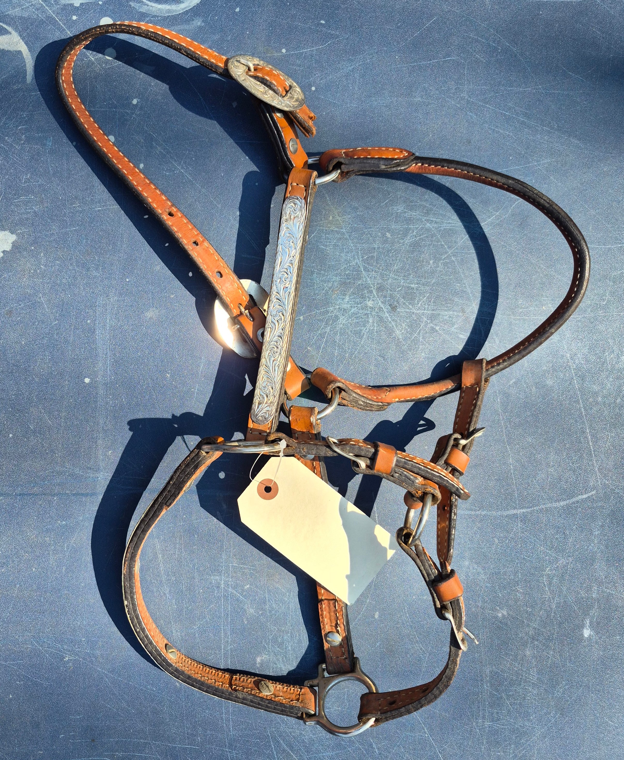 Western Show Halter (As Is)