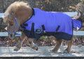 Showman Large Mini / Pony 1200 Denier Adjustable Waterproof Turnout Blanket